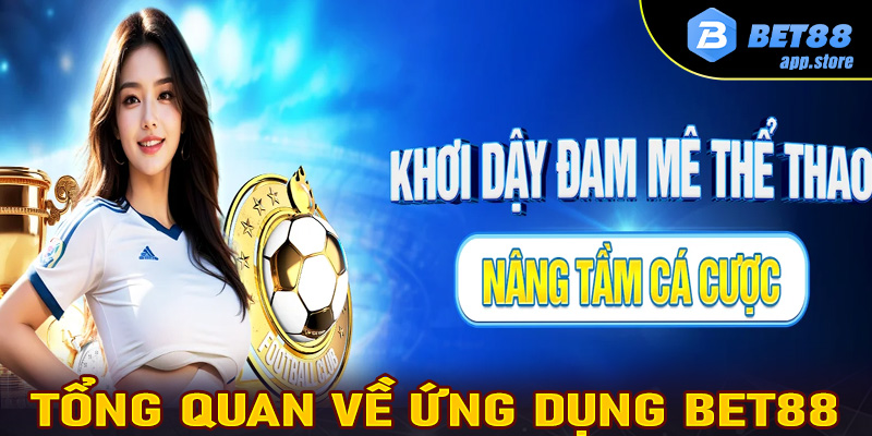 Thông tin tổng quan chung về nhà cái uy tín Bet88 