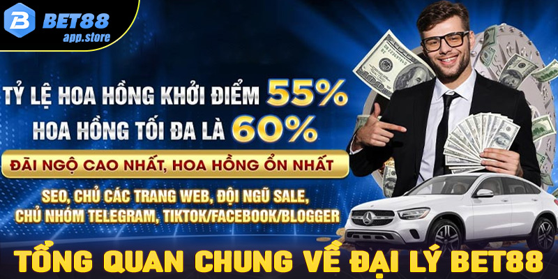 Thông tin tổng quan chung về đại lý Bet88 